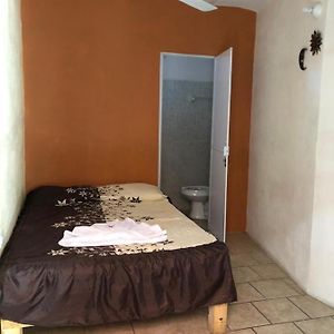 Habitación Doble Estándar