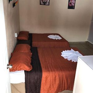 Habitación Deluxe con 2 Camas Individuales
